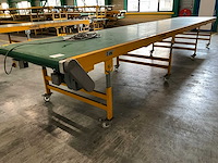 2019 schuma eu-ø100 6500/1100/gl transportband - afbeelding 6 van  11