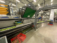 2019 stas gewas sorteer en verwerkingsmachine - afbeelding 27 van  94