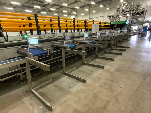 2019 stas gewas sorteer en verwerkingsmachine - afbeelding 31 van  94