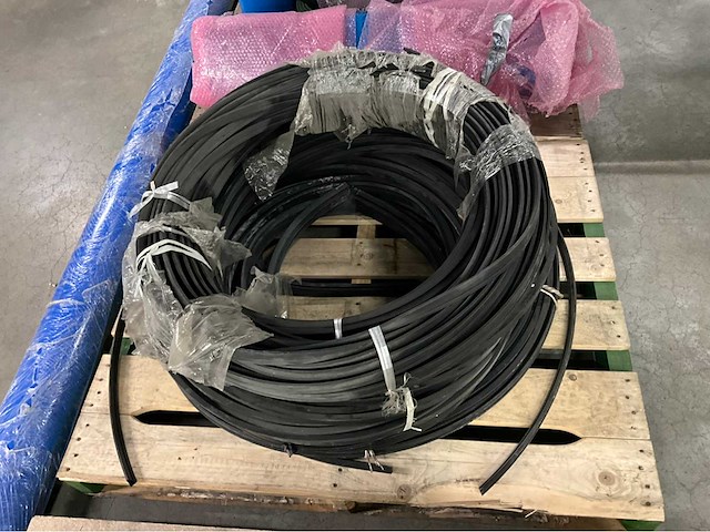 2019 stas gewas sorteer en verwerkingsmachine - afbeelding 39 van  94