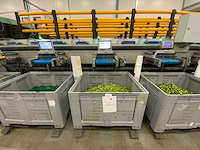 2019 stas gewas sorteer en verwerkingsmachine - afbeelding 54 van  94