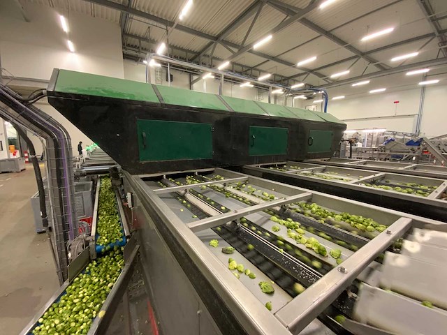 2019 stas gewas sorteer en verwerkingsmachine - afbeelding 57 van  94