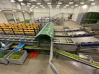 2019 stas gewas sorteer en verwerkingsmachine - afbeelding 58 van  94