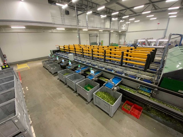 2019 stas gewas sorteer en verwerkingsmachine - afbeelding 69 van  94