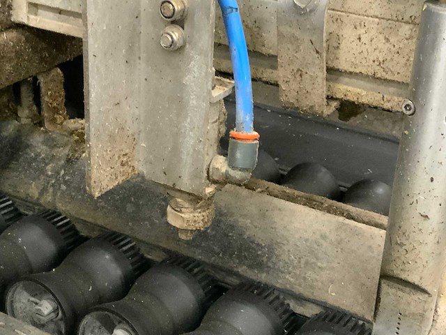 2019 stas gewas sorteer en verwerkingsmachine - afbeelding 82 van  94