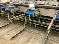 2019 stas gewas sorteer en verwerkingsmachine - afbeelding 85 van  94