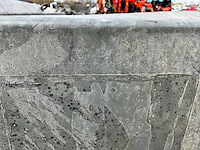 2019 vlemmix v3a machinetransporter 46-wv-jh - afbeelding 13 van  20