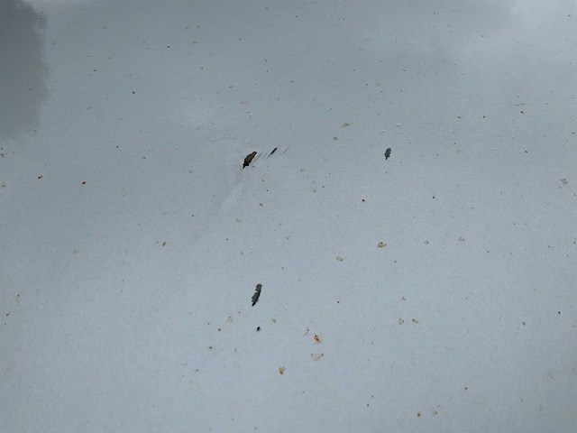 2019 volkswagen golf hb 2.0 highline personenauto - afbeelding 22 van  35
