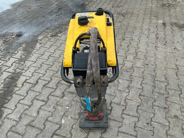 2019 wacker neuson bs60-2 plus trilstamper - afbeelding 8 van  11