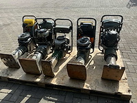 2019 wacker/ weber divers trilstamper (5x) - afbeelding 8 van  14