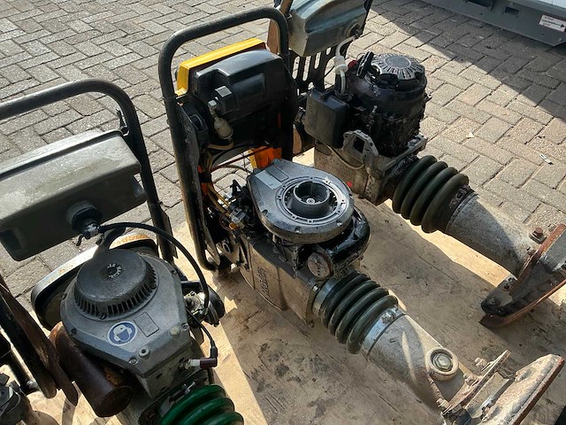 2019 wacker/ weber divers trilstamper (5x) - afbeelding 6 van  14