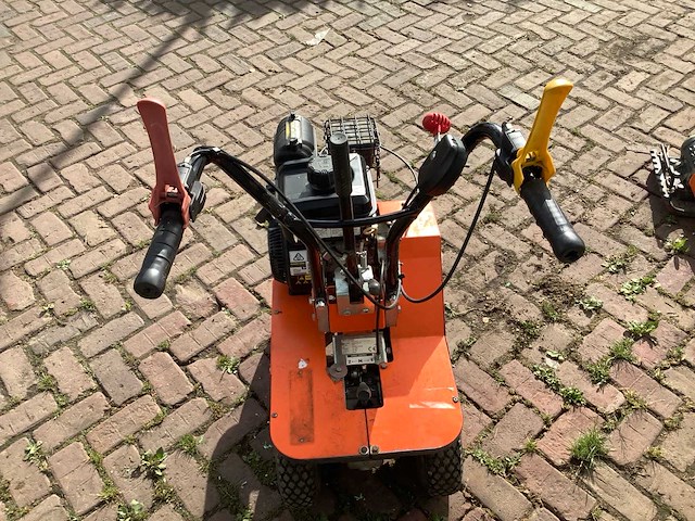 2020 benassi leva zolle graszodensnijder - afbeelding 4 van  6