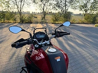 2020 benelli - trx 502 x - motorcycle - afbeelding 1 van  11
