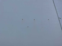 2020 iveco 120e vrachtwagen - afbeelding 7 van  41