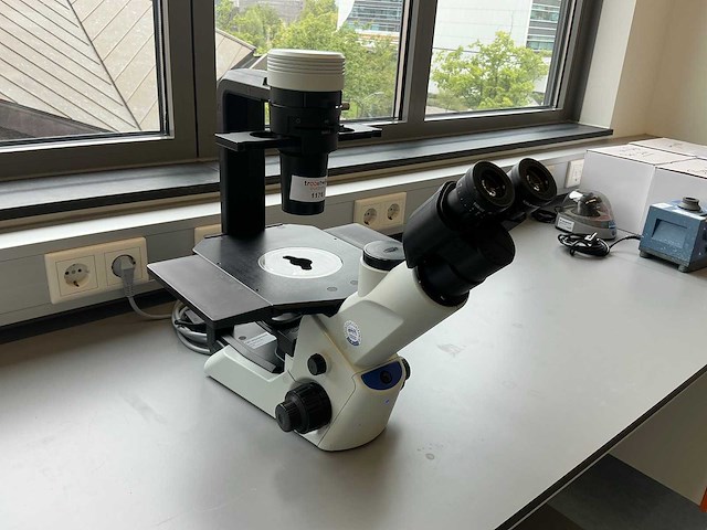 2020 olympus ckx53sf celcultuurmicroscoop - afbeelding 1 van  10