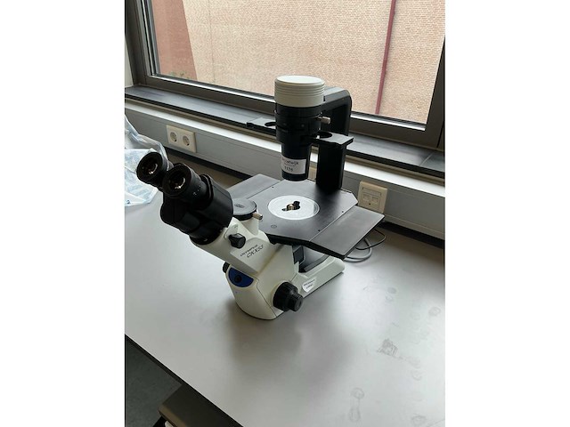 2020 olympus ckx53sf celcultuurmicroscoop - afbeelding 2 van  10