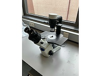 2020 olympus ckx53sf celcultuurmicroscoop - afbeelding 2 van  10