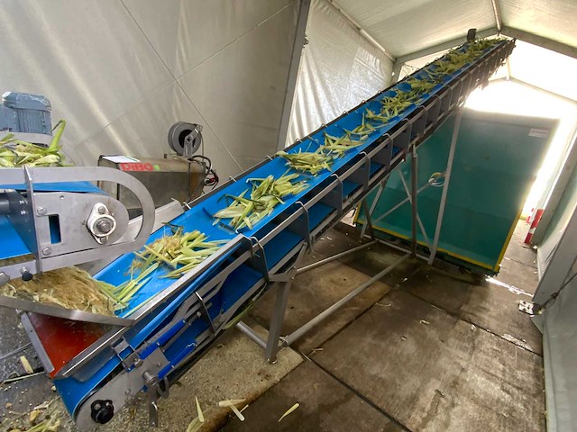 2020 opvoer transportband - afbeelding 1 van  7