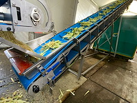 2020 opvoer transportband - afbeelding 3 van  7