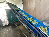 2020 opvoer transportband - afbeelding 4 van  7