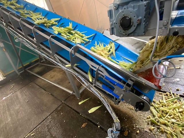 2020 opvoer transportband - afbeelding 5 van  7