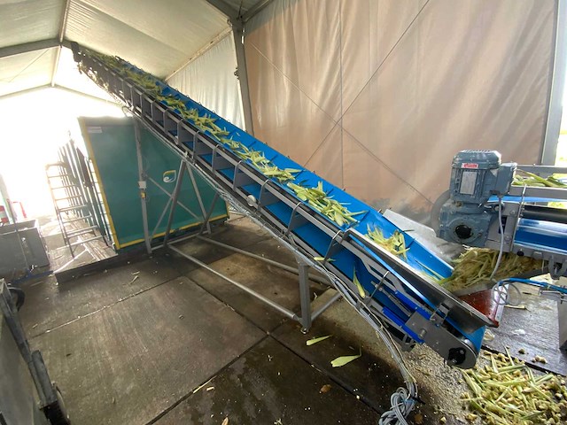 2020 opvoer transportband - afbeelding 6 van  7