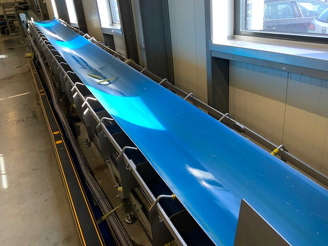 2020 transportband - afbeelding 2 van  5