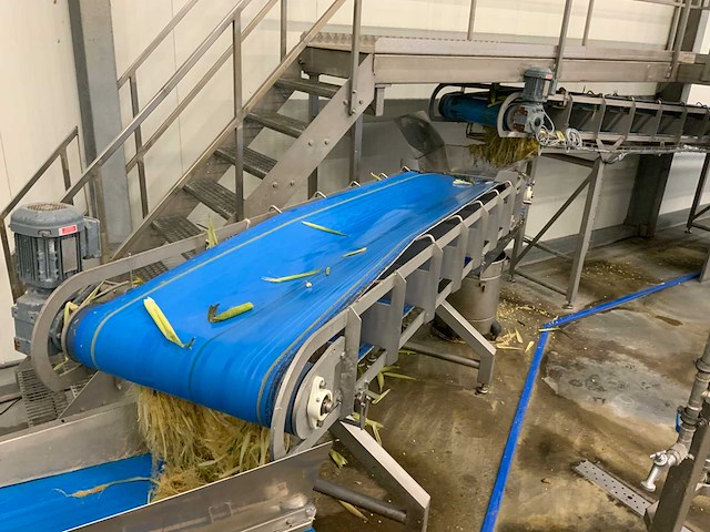 2020 transportband - afbeelding 3 van  4