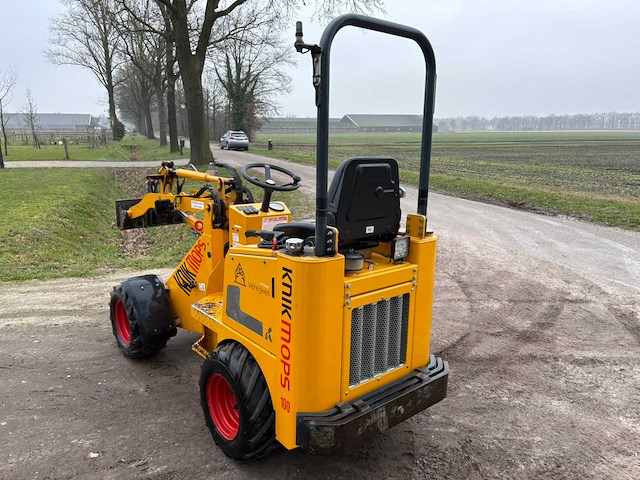 2021 - km100 - knikmops - afbeelding 7 van  17