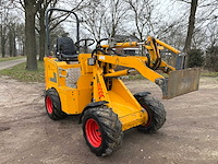 2021 - km100 - knikmops - afbeelding 11 van  17