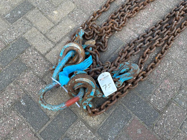 2021 bsv hijsketting tweesprong 6.00m 6,7 ton (2x) - afbeelding 1 van  1