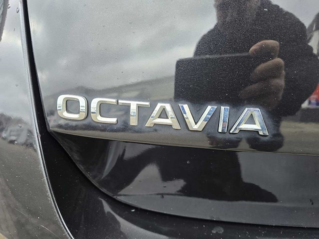2021 skoda octavia combi - 1.0 tsi bns ed. plus - personenauto - afbeelding 4 van  29