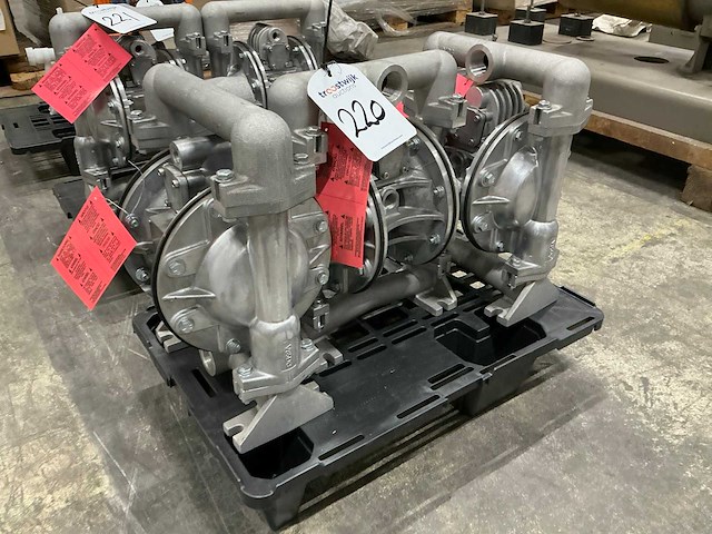 2021 versamatic pneumatische dubbele membraampomp (3x) - afbeelding 1 van  8