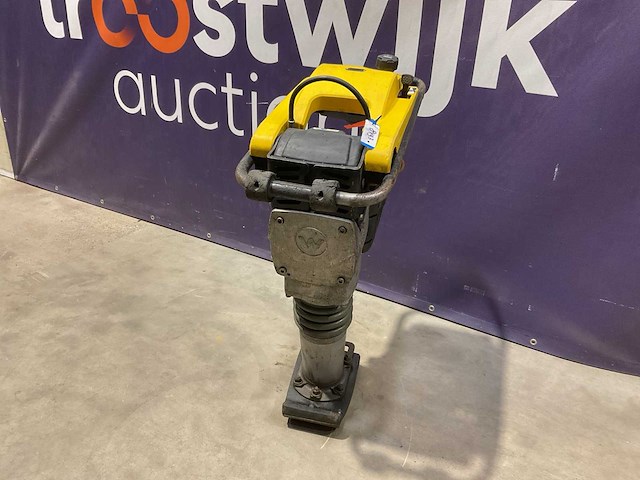 2021 wacker bs 50-2 trilstamper - afbeelding 3 van  7