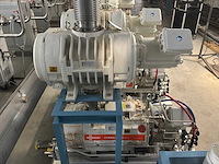 2022 busch cobra ns 0600 c / panda wy 3600 een vacuümpomp-booster combi - afbeelding 6 van  12