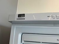 2022 liebherr gnp 3013 vriezer - afbeelding 5 van  7
