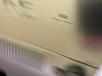 2022 melig stoom sterilisatie - afbeelding 3 van  5