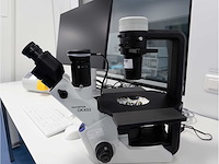 2022 olympus ckx53sf celcultuurmicroscoop - afbeelding 2 van  8