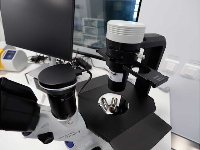 2022 olympus ckx53sf celcultuurmicroscoop - afbeelding 3 van  8