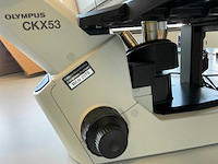 2022 olympus ckx53sf celcultuurmicroscoop - afbeelding 2 van  13
