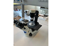 2022 olympus ckx53sf celcultuurmicroscoop - afbeelding 6 van  13