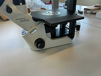 2022 olympus ckx53sf celcultuurmicroscoop - afbeelding 13 van  13