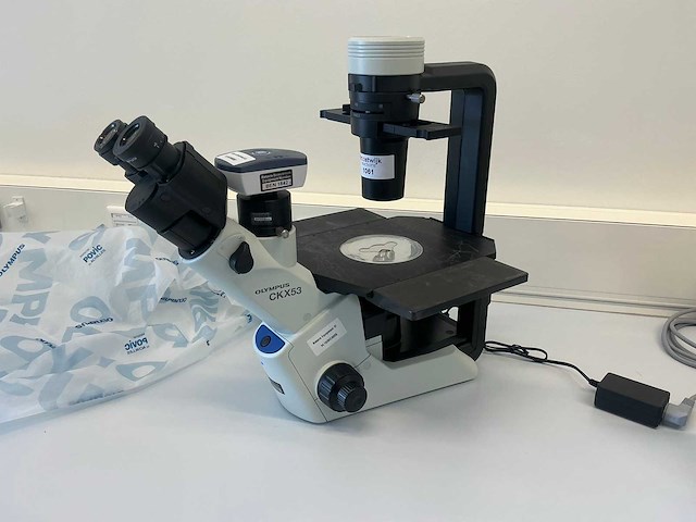 2022 olympus ckx53sf celcultuurmicroscoop - afbeelding 1 van  11