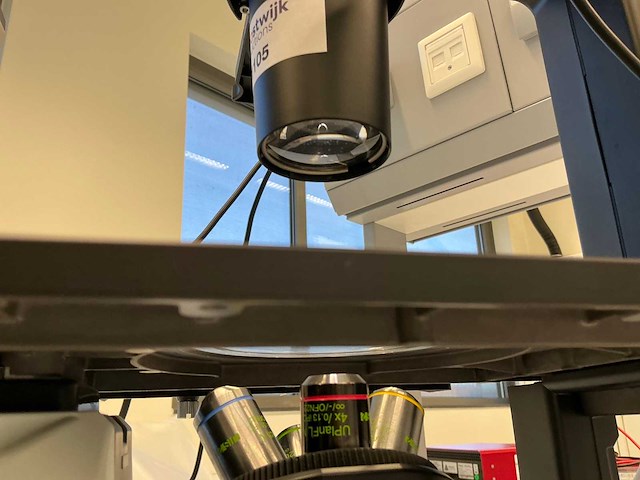 2022 olympus ckx53sf celcultuurmicroscoop - afbeelding 8 van  13