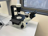 2022 olympus ckx53sf celcultuurmicroscoop - afbeelding 1 van  11