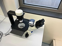 2022 olympus ckx53sf celcultuurmicroscoop - afbeelding 4 van  11