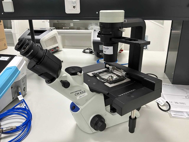 2022 olympus ckx53sf celcultuurmicroscoop - afbeelding 1 van  6