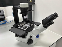 2022 olympus ckx53sf celcultuurmicroscoop - afbeelding 2 van  6