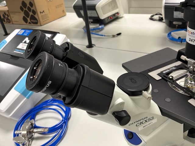 2022 olympus ckx53sf celcultuurmicroscoop - afbeelding 4 van  6