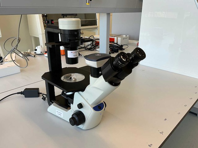 2022 olympus ckx53sf celcultuurmicroscoop - afbeelding 1 van  13